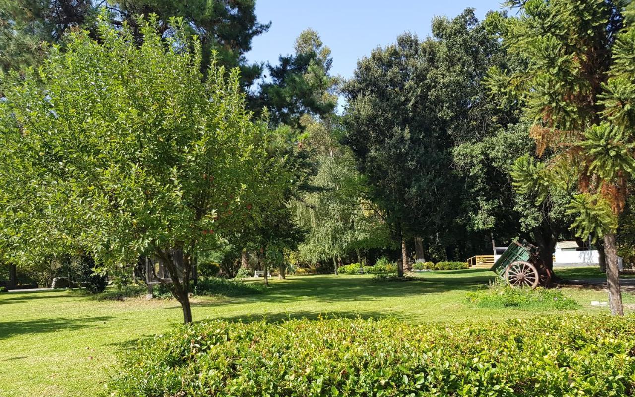 Chillán Lodge Mirador מראה חיצוני תמונה