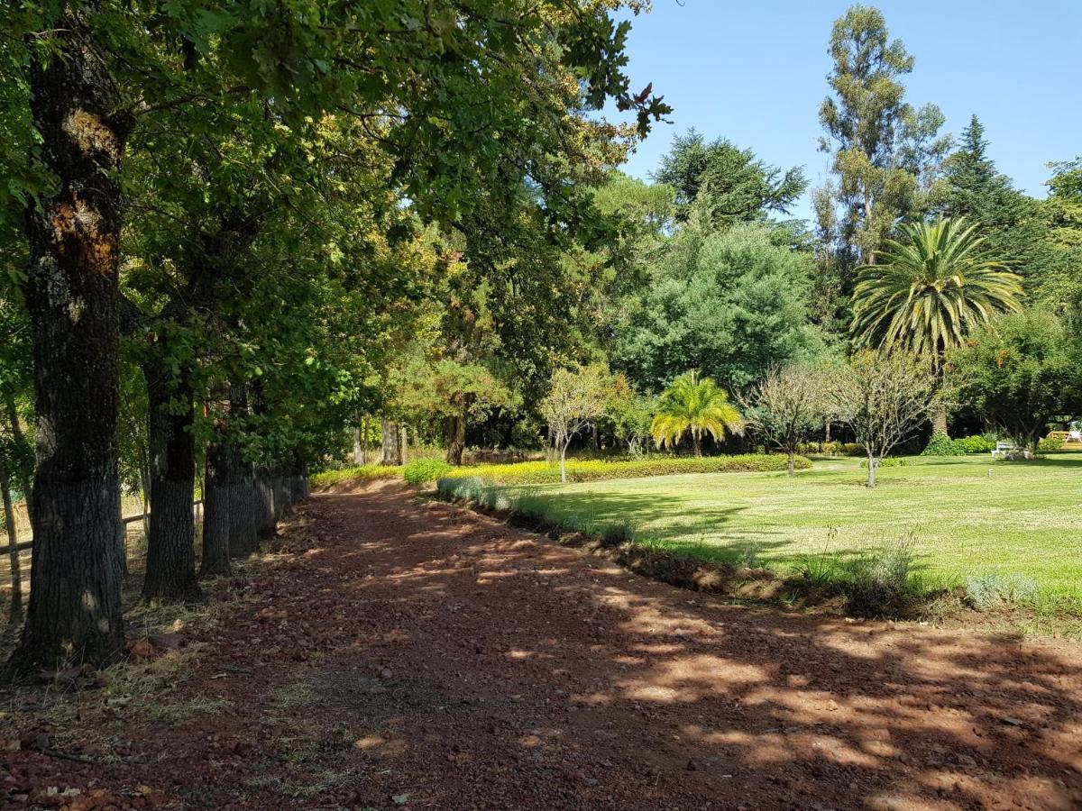 Chillán Lodge Mirador מראה חיצוני תמונה