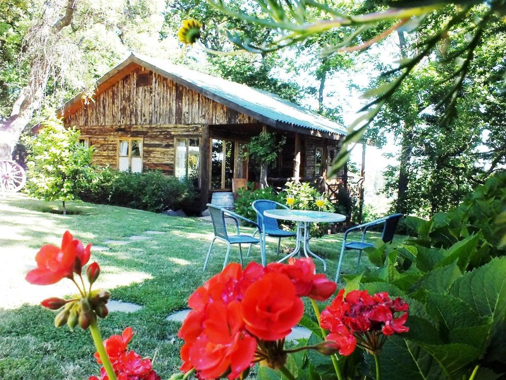Chillán Lodge Mirador מראה חיצוני תמונה